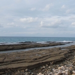 paralia_petromata_9